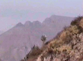 Cinco Cerros
