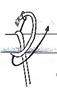 Expuesta por intendentevirtual1 el 02/08/2002, 5KB