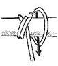 Expuesta por intendentevirtual1 el 02/08/2002, 5KB